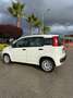 Fiat Panda 1.3 mjt 16v Easy s&s 95cv my19 - thumbnail 8