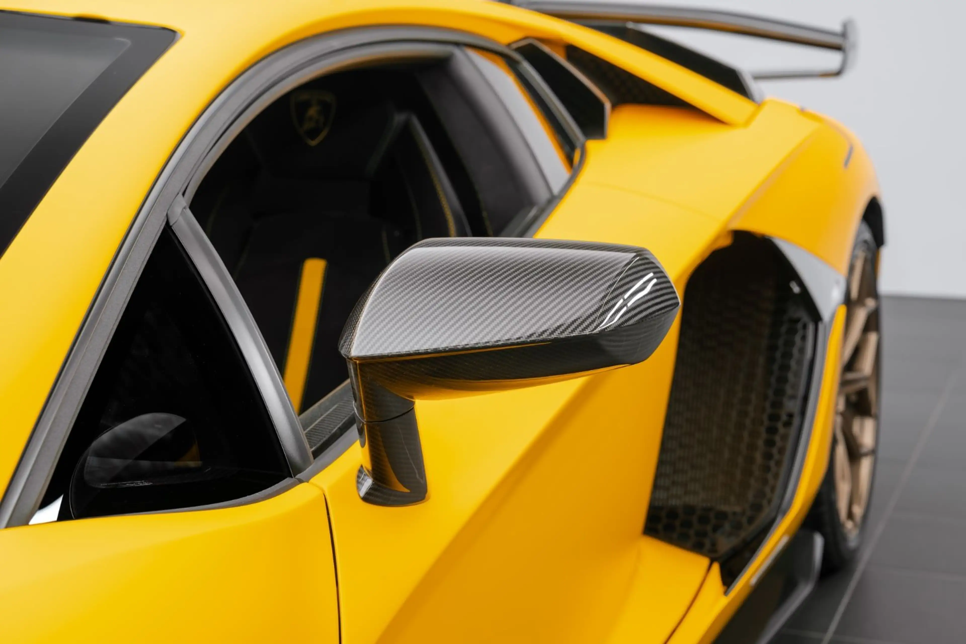 Lamborghini Aventador SVJ MATT PAINT / PAINTED SVJ / CARBON — photo 11