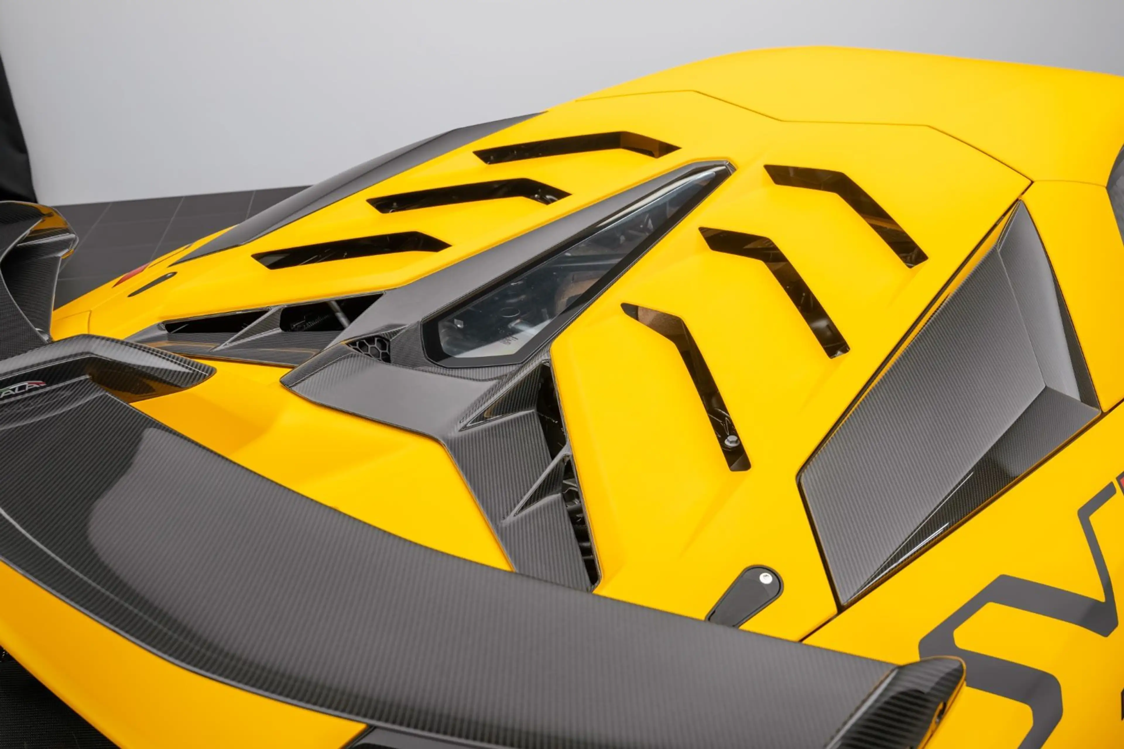 Lamborghini Aventador SVJ MATT PAINT / PAINTED SVJ / CARBON — photo 10