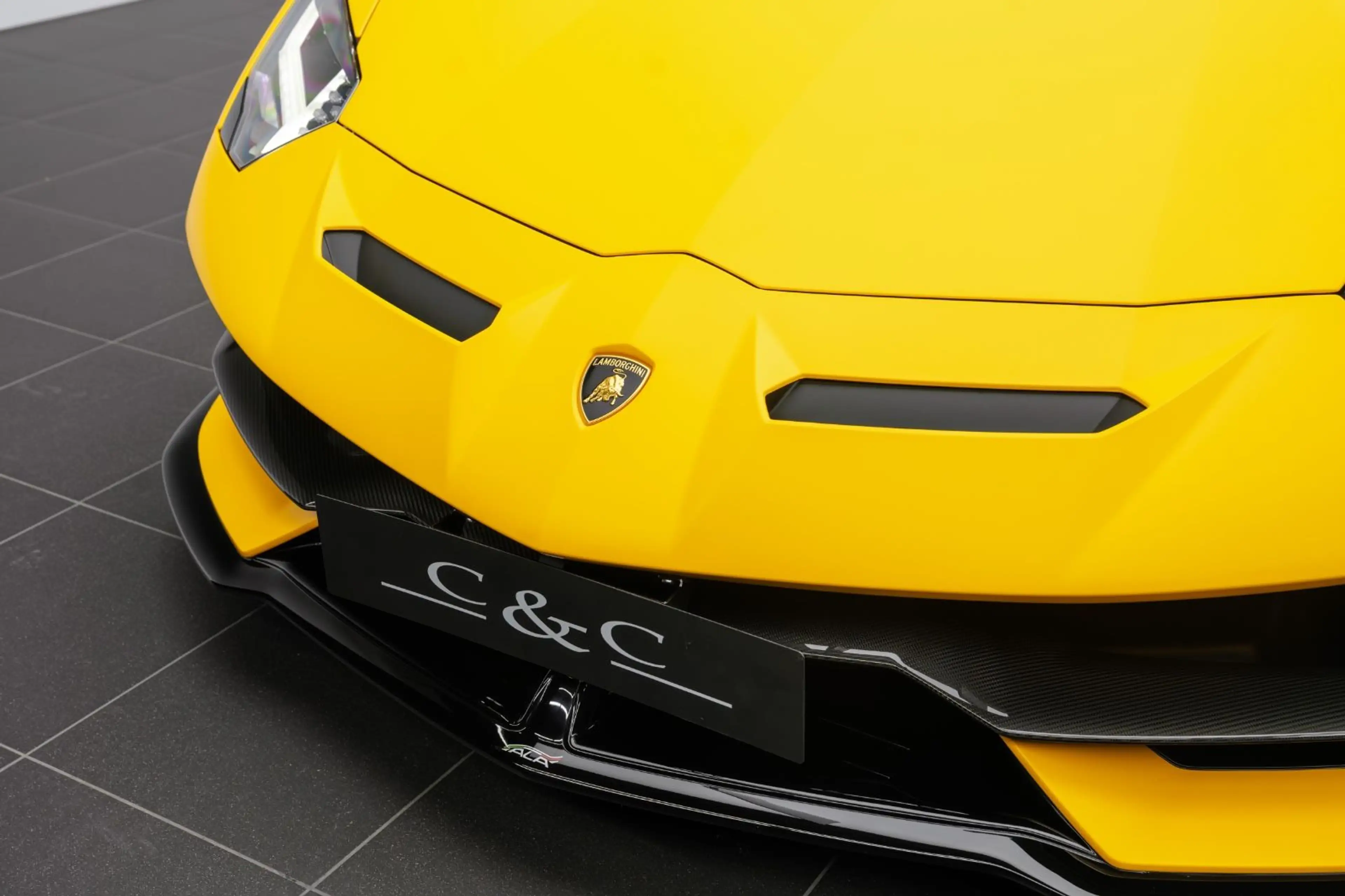 Lamborghini Aventador SVJ MATT PAINT / PAINTED SVJ / CARBON — photo 7