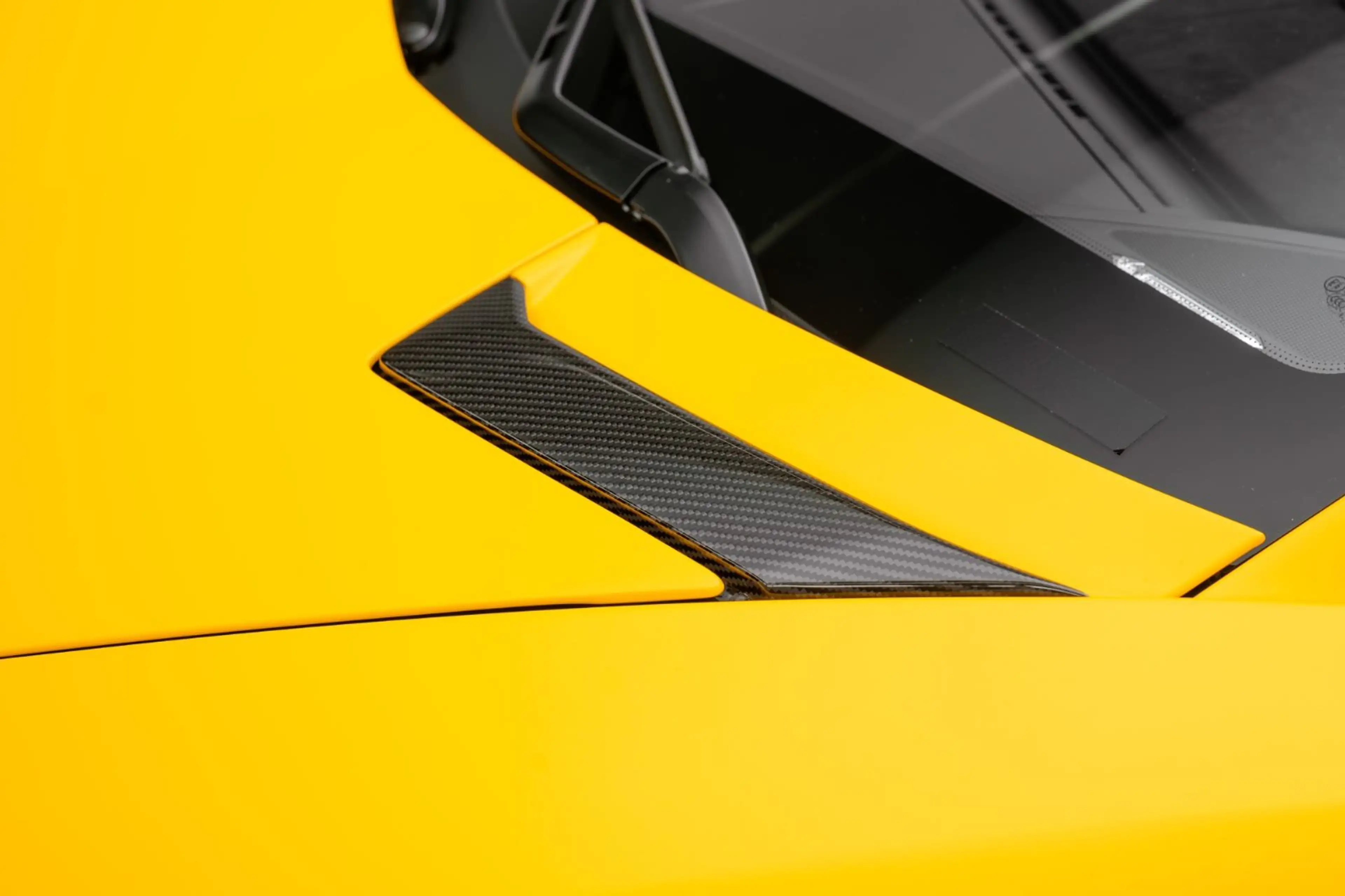 Lamborghini Aventador SVJ MATT PAINT / PAINTED SVJ / CARBON — photo 13
