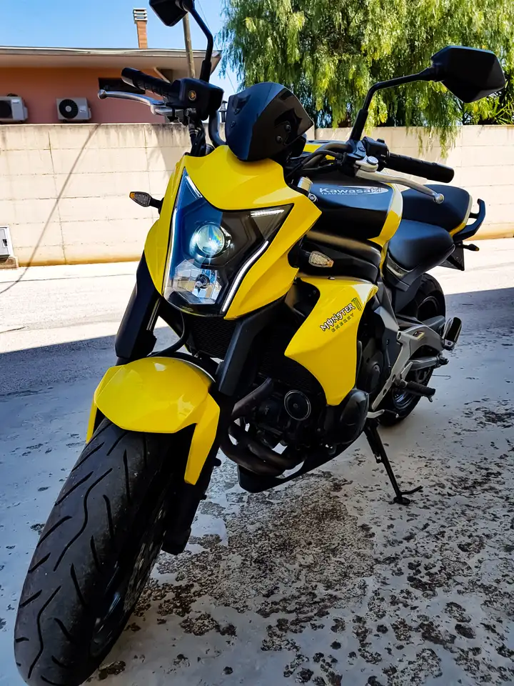 Kawasaki ER