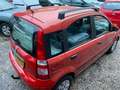 Fiat Panda 1.2 Dynamic Czerwony - thumbnail 13