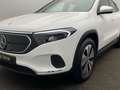 Mercedes-Benz EQA 250 + Progressive Distronic Ambiente Kamera Bianco - thumbnail 7