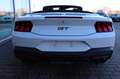 Ford Mustang GT Convertible MagneRide 4,99% FIN* Weiß - thumbnail 9