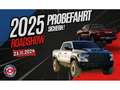 Dodge Challenger RT ScatPack Widebody Last Call Gri - thumbnail 16