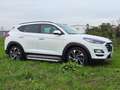 Hyundai TUCSON Tucson 1.6 GDi 4WD DCT Premium, Panoramadach Weiß - thumbnail 3