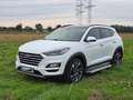 Hyundai TUCSON Tucson 1.6 GDi 4WD DCT Premium, Panoramadach Weiß - thumbnail 9
