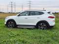 Hyundai TUCSON Tucson 1.6 GDi 4WD DCT Premium, Panoramadach Weiß - thumbnail 5