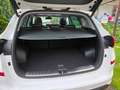 Hyundai TUCSON Tucson 1.6 GDi 4WD DCT Premium, Panoramadach Weiß - thumbnail 39