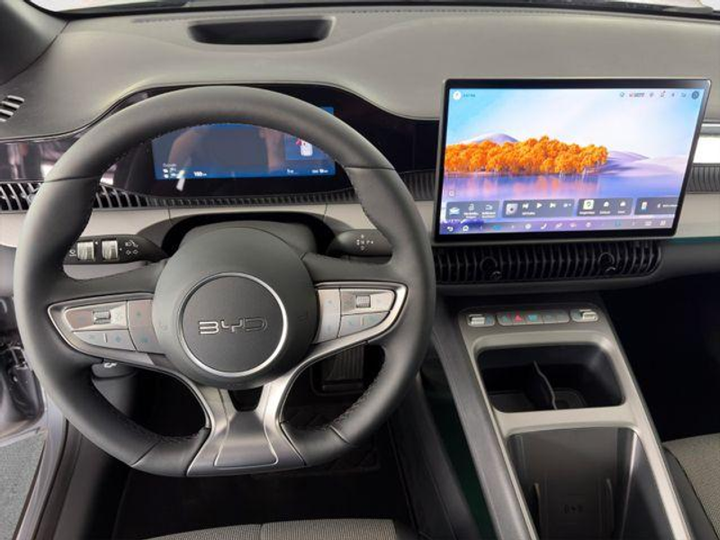BYD Dolphin G DM-i Comfort /PANO/SHZ/SOFORT 156 kW (212 PS), ... — photo 9