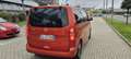 Opel Zafira Life 1.5 Diesel 120CV Start&Stop Advance M Arancione - thumbnail 14