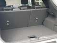Ford Puma 1.0 EcoBoost Hybrid ST-Line X 150PK| Camera| Winte Gris - thumbnail 13