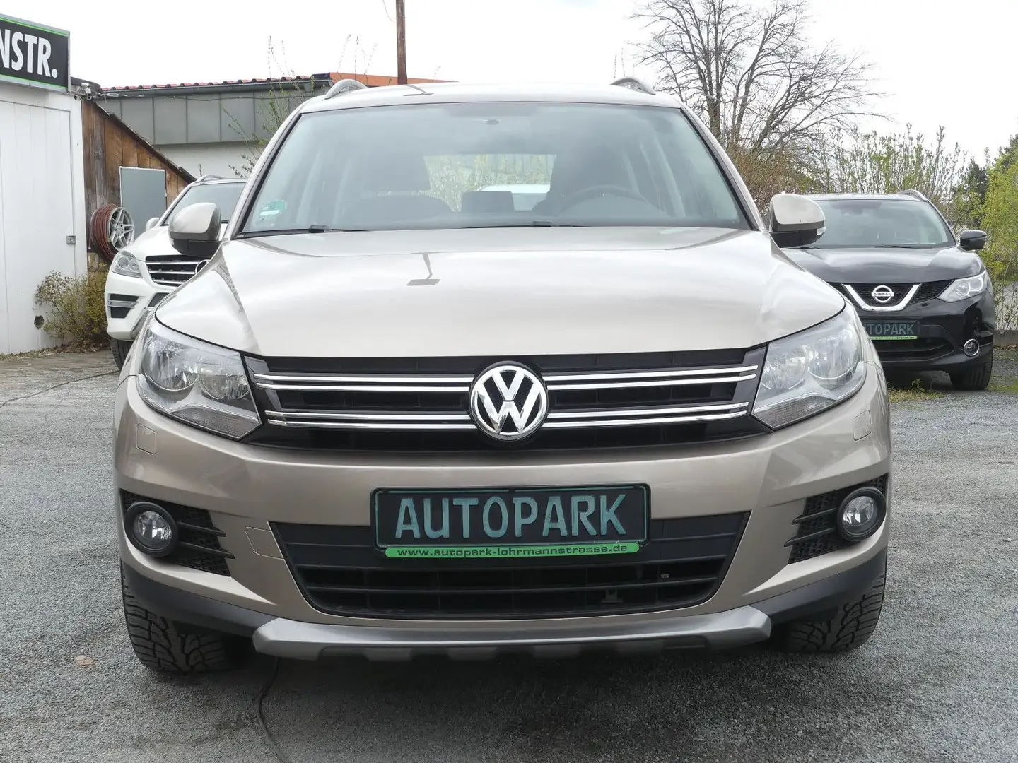 Volkswagen Tiguan Trend & Fun BMT*SH-gepfl.*Nr.12 Gold - 2