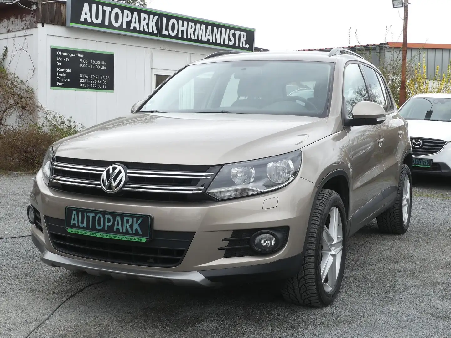 Volkswagen Tiguan Trend & Fun BMT*SH-gepfl.*Nr.12 Gold - 1