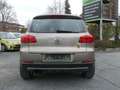 Volkswagen Tiguan Trend & Fun BMT*SH-gepfl.*Nr.12 Gold - thumbnail 6