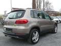 Volkswagen Tiguan Trend & Fun BMT*SH-gepfl.*Nr.12 Gold - thumbnail 5