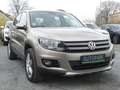 Volkswagen Tiguan Trend & Fun BMT*SH-gepfl.*Nr.12 Gold - thumbnail 3