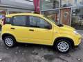 Fiat Panda Hybrid 1.0 GSE 70 MY24 Gelb - thumbnail 10