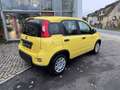 Fiat Panda Hybrid 1.0 GSE 70 MY24 Gelb - thumbnail 9