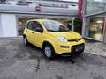 Fiat Panda Hybrid 1.0 GSE 70 MY24 Gelb - thumbnail 2