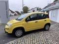 Fiat Panda Hybrid 1.0 GSE 70 MY24 Gelb - thumbnail 6