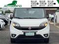 Fiat Doblo Doblò 1.6 MJT Cargo SX*AppleCarPlay*OttimeCondizi Bianco - thumbnail 5