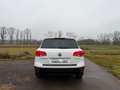 Volkswagen Touareg 3.0 V6 TDI SCR Tiptr Exclusive Garantie Weiß - thumbnail 6