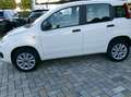 Fiat Panda Panda 0.9 t.air t. natural power Lounge 80cv my19 Bianco - thumbnail 8