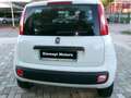 Fiat Panda Panda 0.9 t.air t. natural power Lounge 80cv my19 Bianco - thumbnail 6