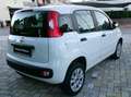 Fiat Panda Panda 0.9 t.air t. natural power Lounge 80cv my19 Bianco - thumbnail 5