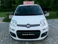 Fiat Panda Panda 0.9 t.air t. natural power Lounge 80cv my19 Bianco - thumbnail 2