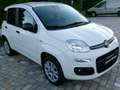 Fiat Panda Panda 0.9 t.air t. natural power Lounge 80cv my19 Bianco - thumbnail 3
