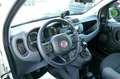 Fiat Panda Panda 0.9 t.air t. natural power Lounge 80cv my19 Bianco - thumbnail 11
