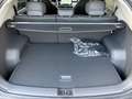 Kia EV3 /EARTH PLUS/81,4KWH/AT/FWD/204 LP.: € 49.890,00 Gris - thumbnail 21