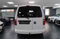 Volkswagen Caddy Nfz Maxi Kombi BMT*Navi*Leder*Shz*Pdc*Ahk Blanc - thumbnail 6