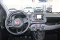 Fiat Panda Fiat Panda Hybrid 1.0 Icon Blu/Azzurro - thumbnail 11