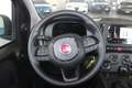 Fiat Panda Fiat Panda Hybrid 1.0 Icon Blu/Azzurro - thumbnail 12