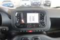 Fiat Panda Fiat Panda Hybrid 1.0 Icon Blu/Azzurro - thumbnail 13
