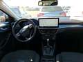 Ford Focus 1.0 Flexifuel 125ch mHEV 125ch Active Boite auto Bleu - thumbnail 5