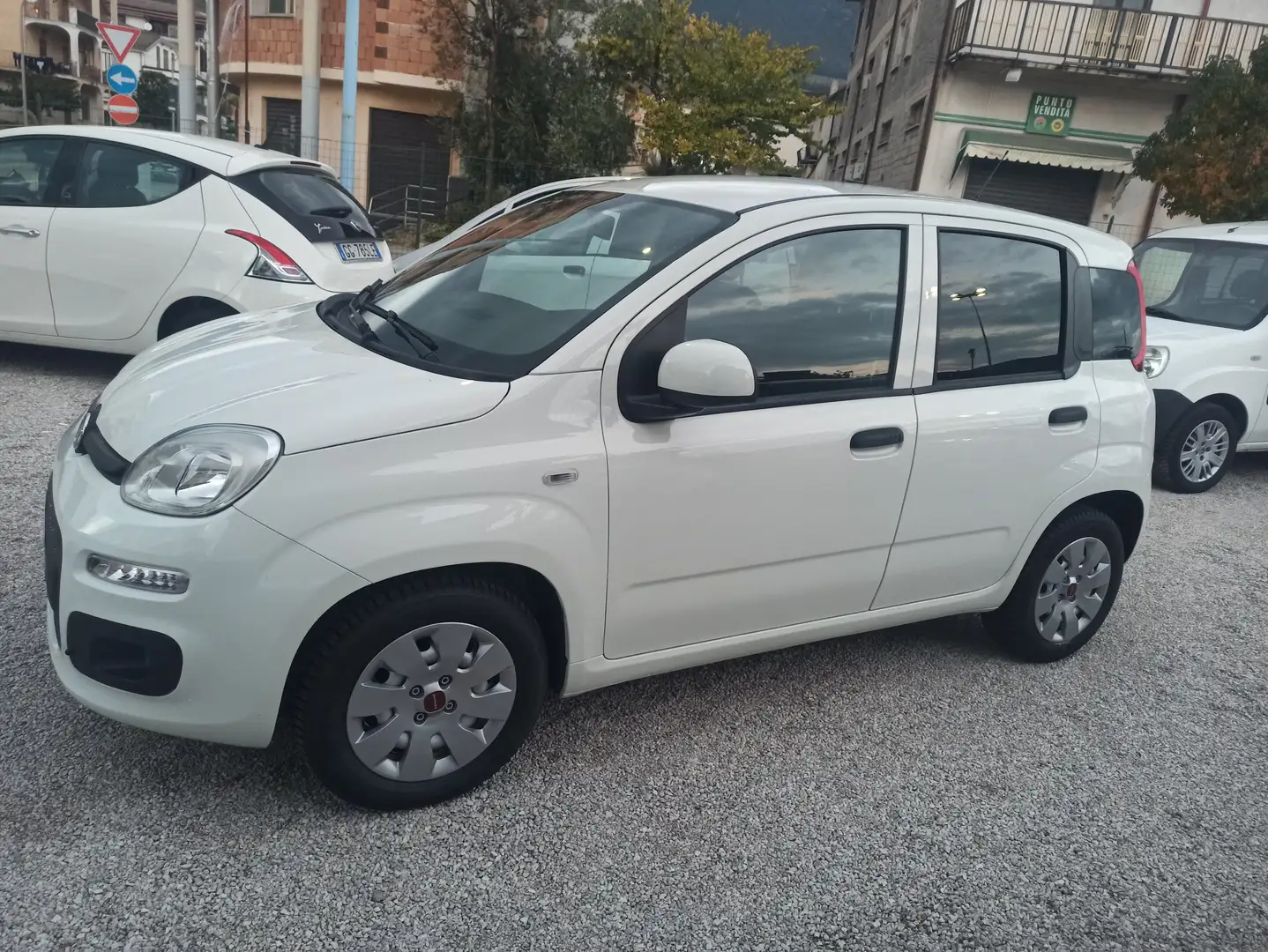 Fiat Panda Panda 1.2 Easy 69cv Bianco - 2