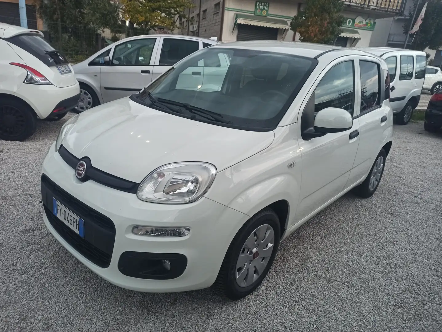 Fiat Panda Panda 1.2 Easy 69cv Bianco - 1