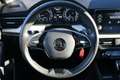 Skoda Kamiq 1.0 Active LED ACC SmartLink Sitzheizung Grau - thumbnail 19