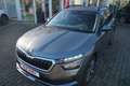 Skoda Kamiq 1.0 Active LED ACC SmartLink Sitzheizung Grau - thumbnail 11
