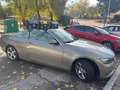 BMW 320 320i Cabrio Altın - thumbnail 6