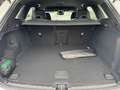 Volvo XC60 Black Edition Plus, B5 AWD Mild Hybrid, Benzin Weiß - thumbnail 10