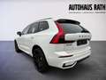 Volvo XC60 Black Edition Plus, B5 AWD Mild Hybrid, Benzin Weiß - thumbnail 5