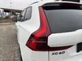 Volvo XC60 Black Edition Plus, B5 AWD Mild Hybrid, Benzin Weiß - thumbnail 11