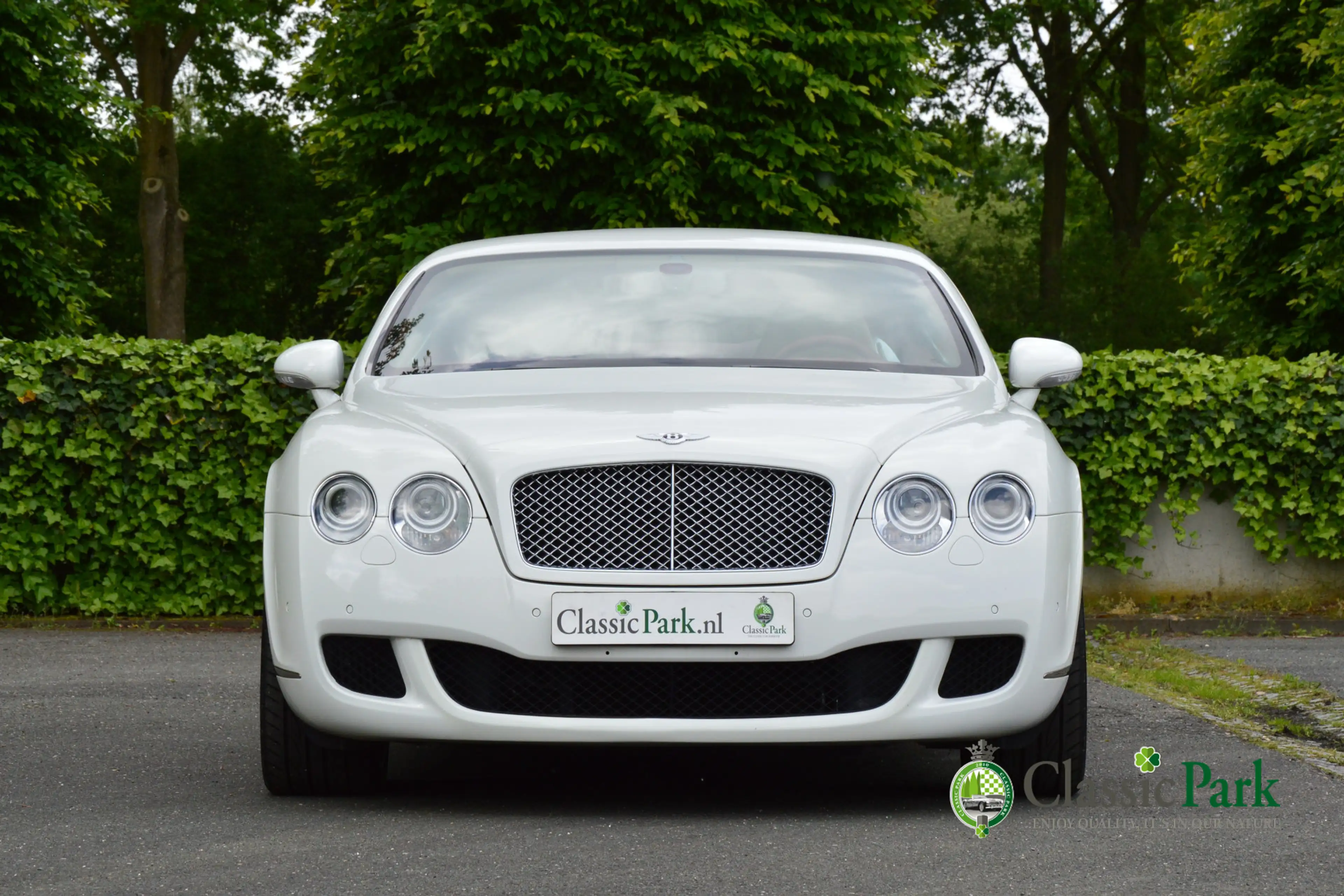 Bentley Continental GT 6.0 W12 — photo 8