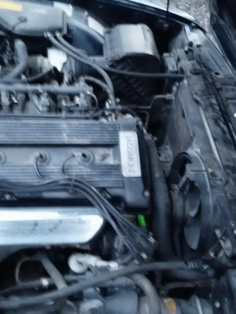 Jaguar XJ40 Gold Edition 3.2 24v Blau - 2